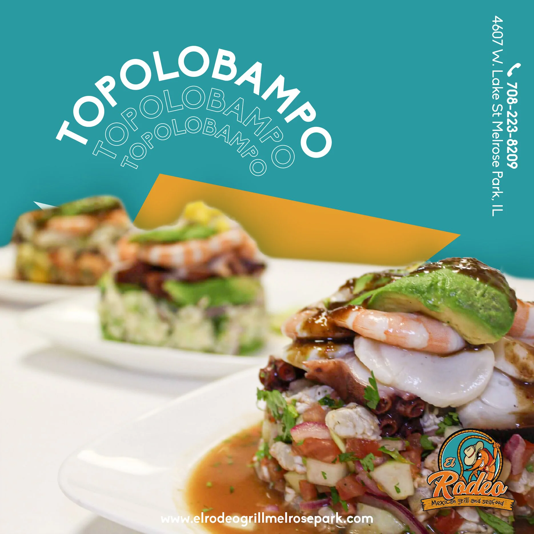 Social Media Portfolio